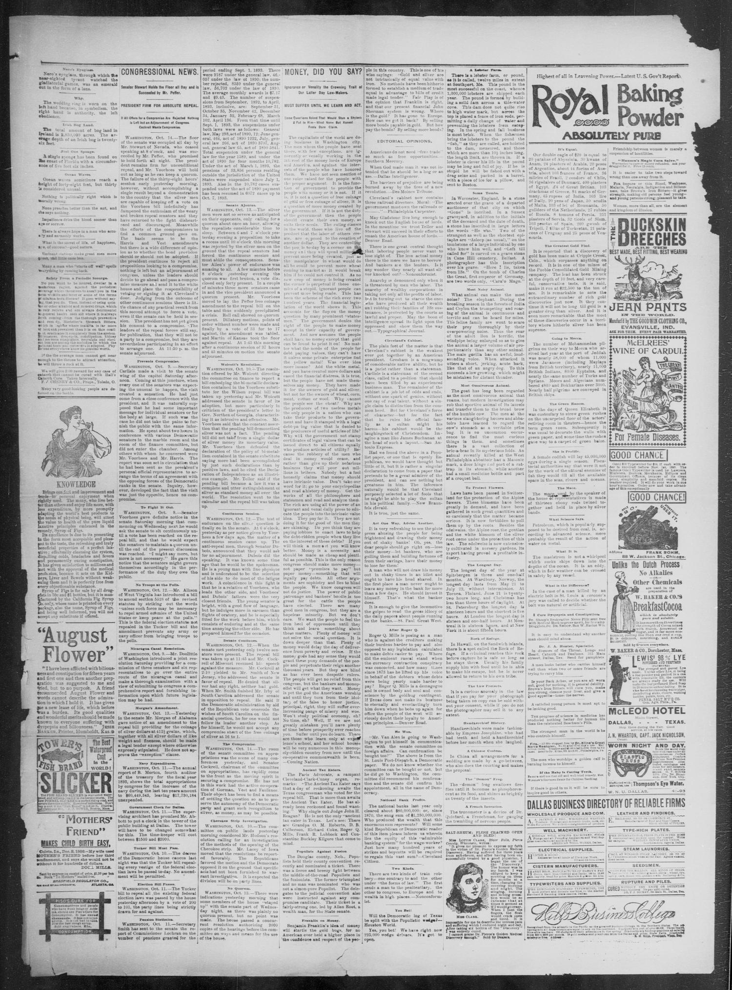 The San Saba County News. (San Saba, Tex.), Vol. 19, No. 48, Ed. 1, Friday, October 20, 1893
                                                
                                                    [Sequence #]: 3 of 4
                                                