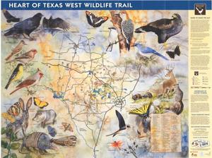 Primary view of object titled 'Heart of Texas West Wildlife Trail'.