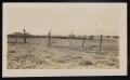 Primary view of [Cattle Drive On Ranch, 1918]