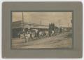 Photograph: [Circus in Front of Goldthwaite Restaurant]