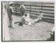 Primary view of [Cowhands Branding Calf in Corral]