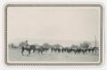 Primary view of [Cowhand and Saddle Horses]