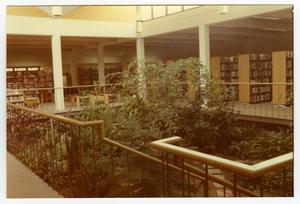Primary view of object titled '[Atrium at the Emily Fowler Library]'.