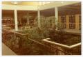 Primary view of [Atrium at the Emily Fowler Library]