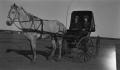 Photograph: [Couple in Buggy]