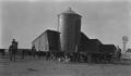 Photograph: [Cattle in Front of Silo]