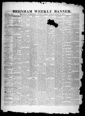 Primary view of object titled 'Brenham Weekly Banner. (Brenham, Tex.), Vol. 14, No. 25, Ed. 1, Friday, June 20, 1879'.