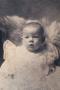 Photograph: [Rotary Club Member - Tom Eplen as a Baby]