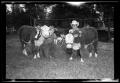 Primary view of [Two Boys with Cattle During Cleveland Dairy Days]