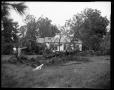 Photograph: [Uprooted Trees in Front of House]
