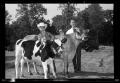 Photograph: [Two Boys with Cows During Cleveland Dairy Day]