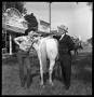 Primary view of [Hank Williams and Bill Daniels by Horse's Rear]