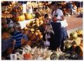 Primary view of [Pumpkins at the Dallas Farmer's Market]