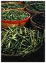 Thumbnail image of item number 1 in: '[Display of Green Beans and Okra]'.