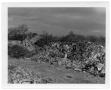 Thumbnail image of item number 1 in: 'Grissom Landfill'.