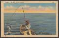 Postcard: [Fisherman on Lake Texoma "Landing a Big One"]