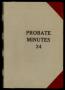 Book: Travis County Probate Records: Probate Minutes 34