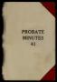 Book: Travis County Probate Records: Probate Minutes 41