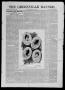 Thumbnail image of item number 3 in: 'The Greenville Banner. (Greenville, Tex.), Ed. 1, Saturday, June 1, 1895'.