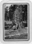 Thumbnail image of item number 1 in: '[Connie Ford McCann rests against a tree]'.