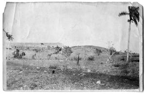 Primary view of object titled '[Scenic view of a mountain, hill, barbed wire fence, and foliage]'.