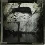 Photograph: Glass Slide of Dying Lion Monument (Lucerne, Switzerland)