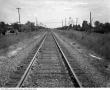 Primary view of [Railroad tracks near Austin]