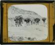 Photograph: Glass Slide - “Going to Market” (Palestine)