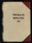 Book: Travis County Probate Records: Probate Minutes 60