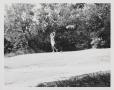 Primary view of [Austin Women's Public Links Golf Association golfer swinging at the Municipal Golf Course tournament]