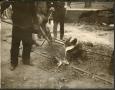 Photograph: [Smelting crew joining rail ties]