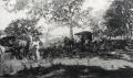 Thumbnail image of item number 1 in: '[Carriages at Barton Creek]'.