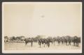 Primary view of [Horses at Camp]