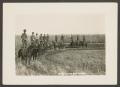 Thumbnail image of item number 1 in: '[U.S. Army 14th Calvary Standing on the Back of Their Horses]'.