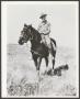 Photograph: [Soldier On Horse]