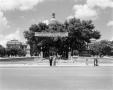 Primary view of [At Congress Avenue by the Capitol Building]