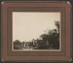 Photograph: [Photograph of a Man in a Horse Drawn Buggy]