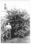 Photograph: [Woman Standing Beside a Rosebush]