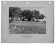 Primary view of [Photograph of White Rock Lake Park Picnic Shelter]