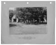 Thumbnail image of item number 1 in: '[Photograph of Bachman Lake Park Picnic Shelter]'.