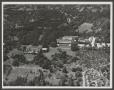 Photograph: [Aerial view of large wooded estate]