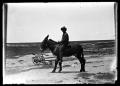 Photograph: [Mule and Rider]