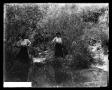 Primary view of [Women at Creekside]