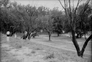 Primary view of object titled '[Tierra Blanca Creek]'.