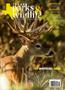 Journal/Magazine/Newsletter: Texas Parks & Wildlife, Volume 78, Number 7, November 2020