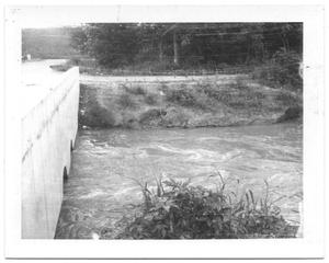 Primary view of object titled '[Bachman East Bank on Discharge Side of Gates]'.