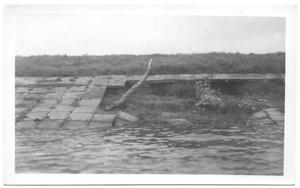 Primary view of [Needed Repairs to Bachman Dam]