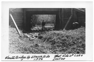Primary view of object titled '[Small Bridge on West Side of Lake Dallas]'.