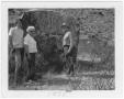 Photograph: Charlie and Dessie McLure and Van Foster by petroglyphs