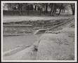 Photograph: [Collapsed Wall & Lake Cliff Park]